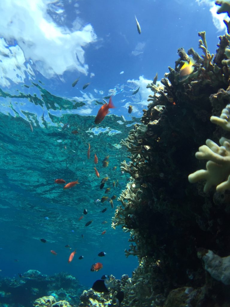 canyoning & cave & barasu２